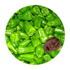 biirusuki_20221108223708