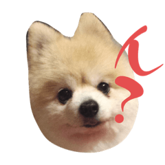 KYONTARO_20221108162301
