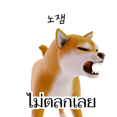 Korean Thai KR TH K