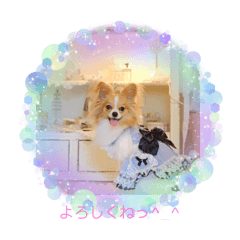 yukari_20221109072048