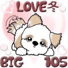 【Big】シーズー犬 105『恋人に(冬)』