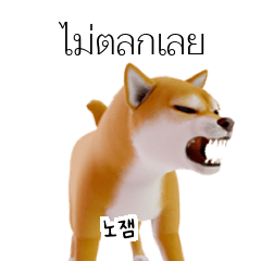 [50%] 태국어 일상 회화 B