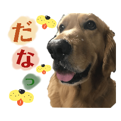 Honey_20221109101809