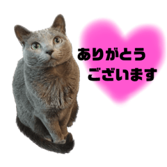 ruru_20221109121735