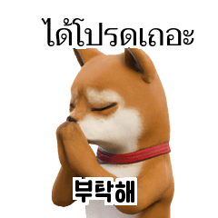 Korean Thai KR TH 32Q