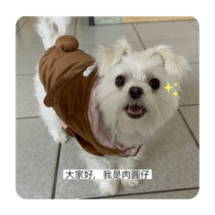 皮蛋肉圓仔