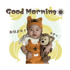 aoi_20221109225644
