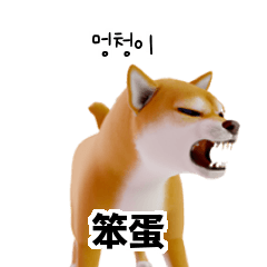 KR TW CN Shiba Inu Z67