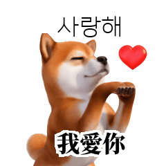 KR TW CN Shiba Inu nQ_