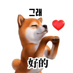 KR TW CN Shiba Inu ire