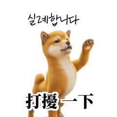 KR TW CN Shiba Inu p5l