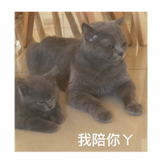 適可而止2