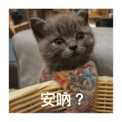 適可而止6
