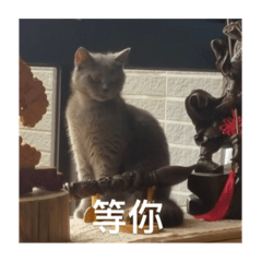 適可而止3