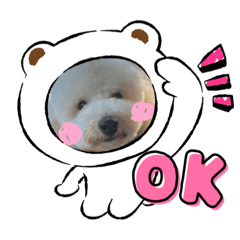 lun_20221109231501