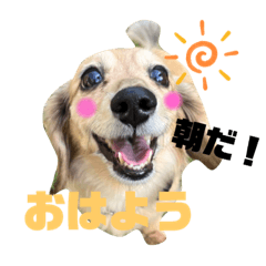 ranz_20221109201937