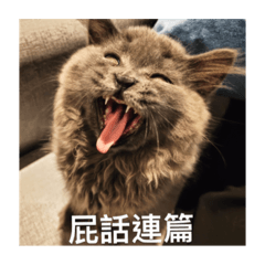 適可而止4