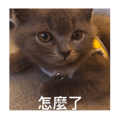 適可而止5