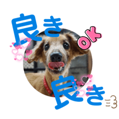 YUKARI_20221109211444