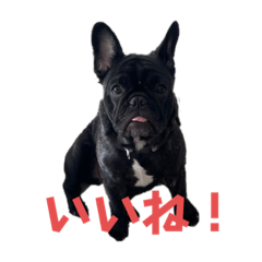 リヴ中心生活❷