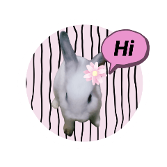 rabbit 002 - Stiker LINE | LINE STORE