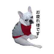 ari_20221109204708