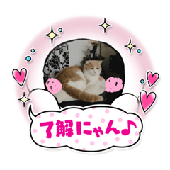 megumi_20221110142149