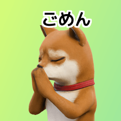 Shiba Inu Dog Big Stickers 40p FFl