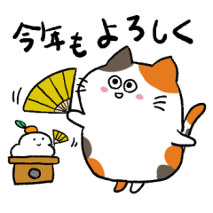WINTER daily conversation of calico cat