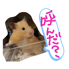 yuka_20221110145155