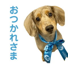 ririka_20221110171717