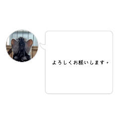suzu_20221110185551
