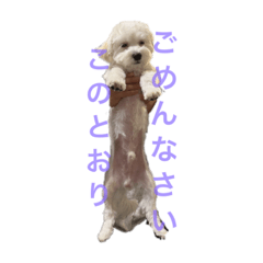 yuka_20221110194723