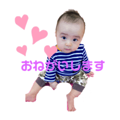 suzu_20221111002144