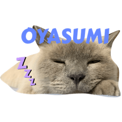 futsutsukamono_20221110165342