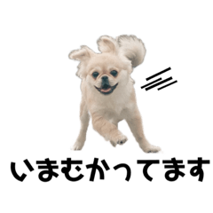 mizuho_20221110164621 – LINE stickers | LINE STORE