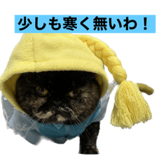 kaede_20221110213727