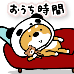 【続】柴犬パンダのおうち時間