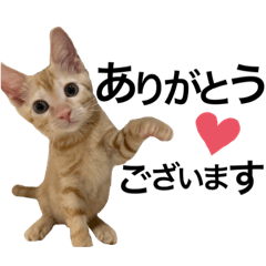 RIRIKA_20221110163004