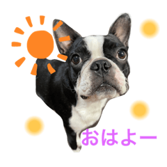 sasabon_20221110235937