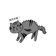 嘿！黑糖