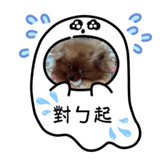 糖糖&沐沐