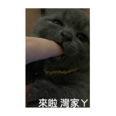 有病是嗎