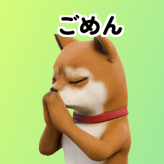 Shiba Inu Dog Big Stickers 40p gaR