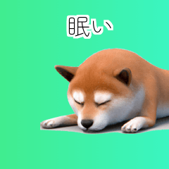 Shiba Inu Dog Big Stickers 40p _cE