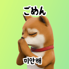 Shiba Inu Dog Big Stickers 40p x9I