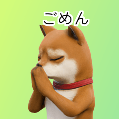 Shiba Inu Dog Big Stickers 40p KPc