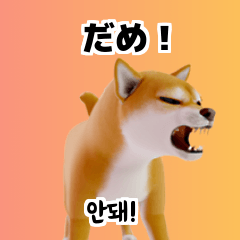 Shiba Inu Dog Big Stickers 40p Lci