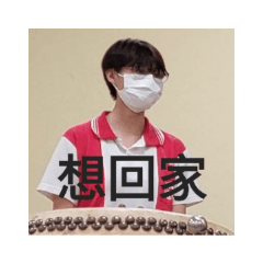 龍獅大姐與小弟日常