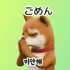 Shiba Inu Dog Big Stickers 40p 8O6